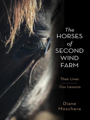 cover image of The Horses of Second Wind Farm